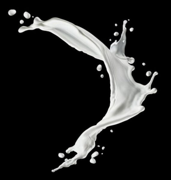 מי גבינה – Whey protein