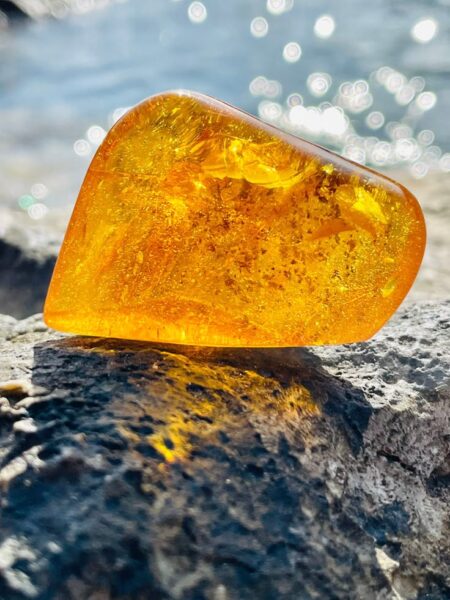 ענבר – Succinium Amber