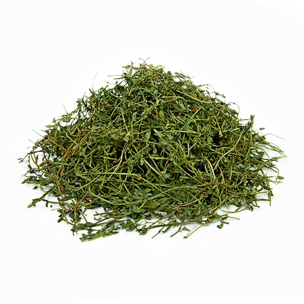 בקופה פשוטה – Bacopa monniera
