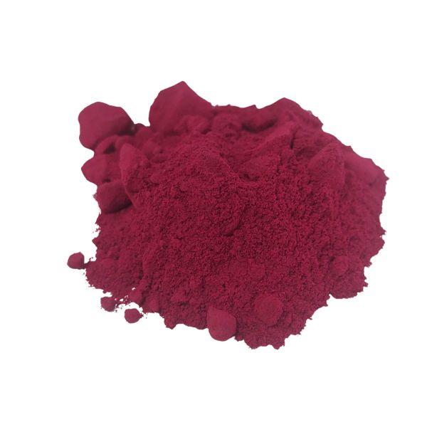 סלק מצוי – Beta vulgaris