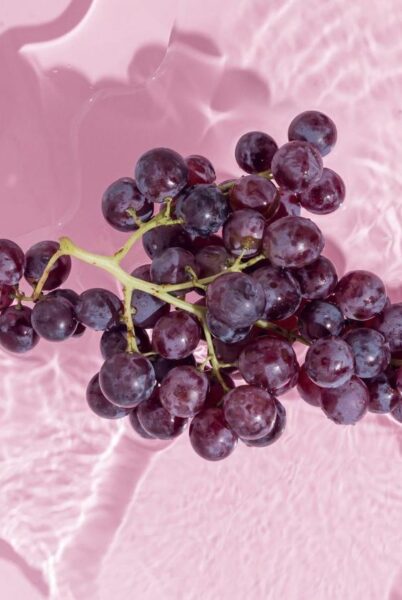 רסרבטרול – Resveratrol