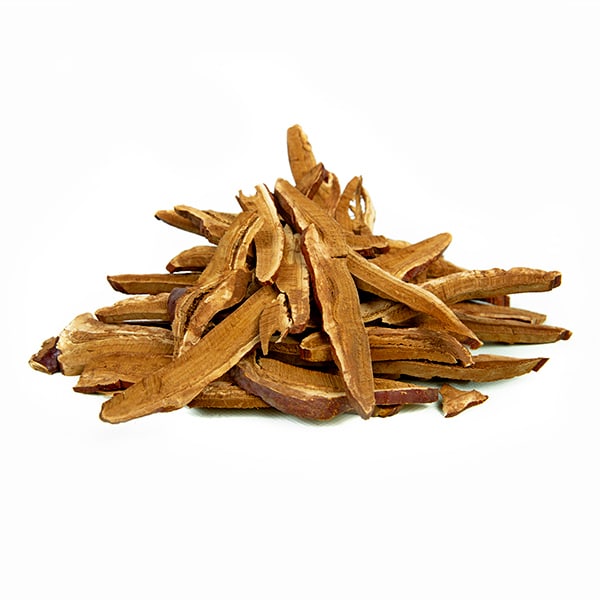 ריישי- Ganoderma lucidum – Reishi