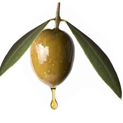 סקוולן – Squalene
