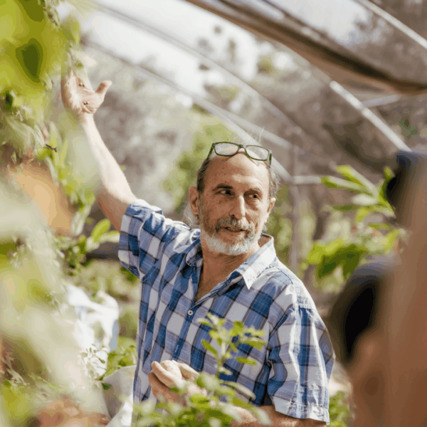 02/08/24: עלעלים בחמישה חושים וארבע עונות