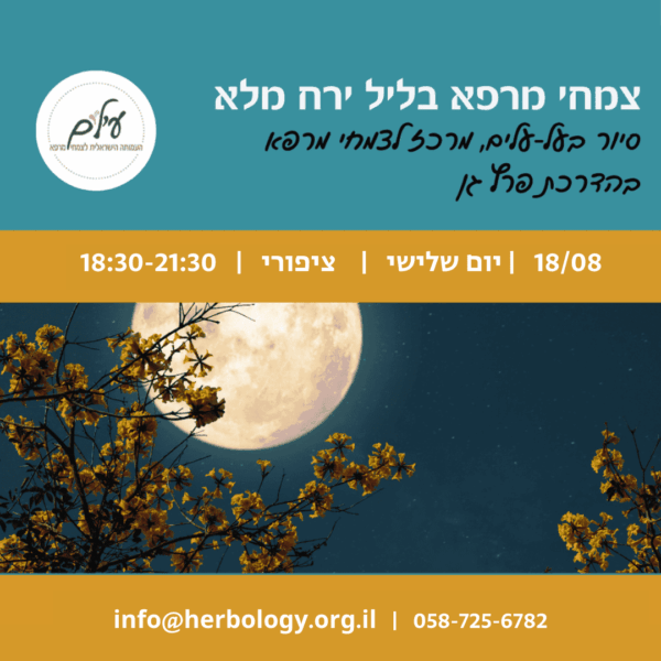 18/08/24: צמחי מרפא לאור ירח – בהדרכת פרץ גן