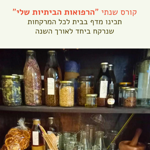  15/11/24-6/6/25: קורס שנתי: הרפואות הביתיות שלי