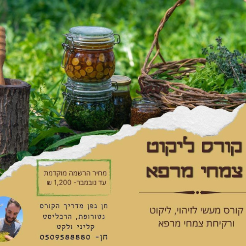 01-03/2025: קורס ליקוט צמחי מרפא בהנחיית חן גפן