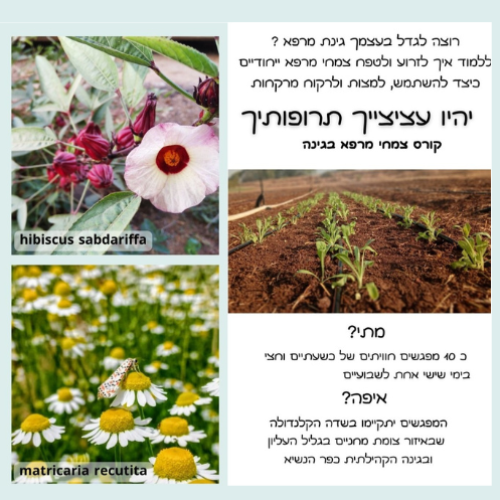 01/11/24: יהיו עציצייך תרופותייך- עשרה מפגשים עם איתמר בראל