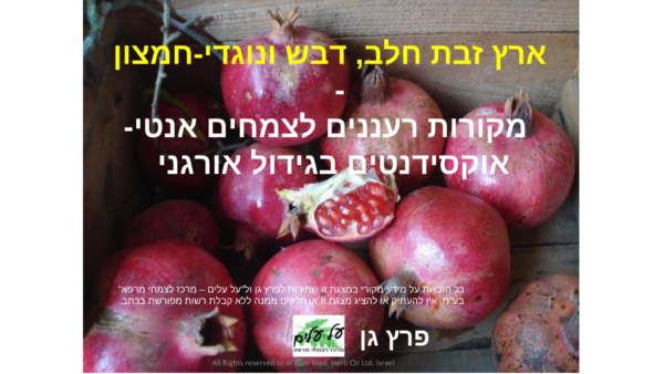 מצגת ארץ חלב, דבש ונוגדי חמצון