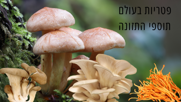 פטריות כתוספי תזונה pdf