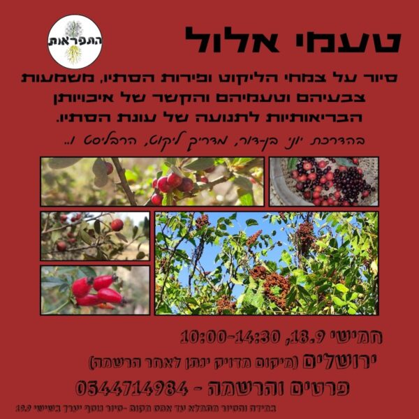 18/09/25: טעמי אלול עם יוני בן דור