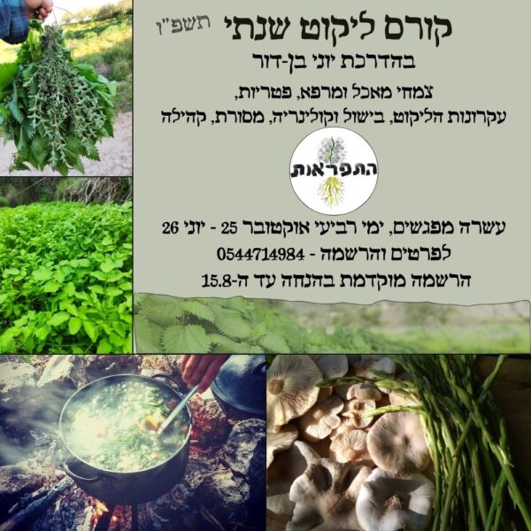 25/10-06/26: קורס ליקוט שנתי עם יוני בן דור