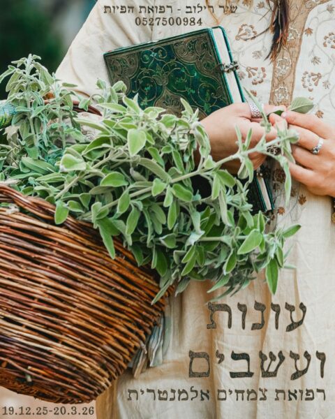 19/12/25-20/03/26 עונות ועשבים: קורס ליקוט עם שיר רילוב