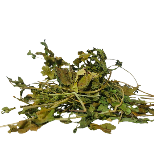 בן חרצית אורגני עלים Tanacetum parthenium