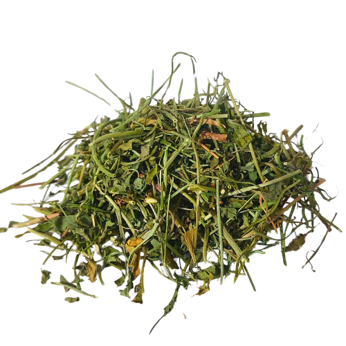 וורבנה רפואית אורגני כל הצמח גרוס Verbena officinalis