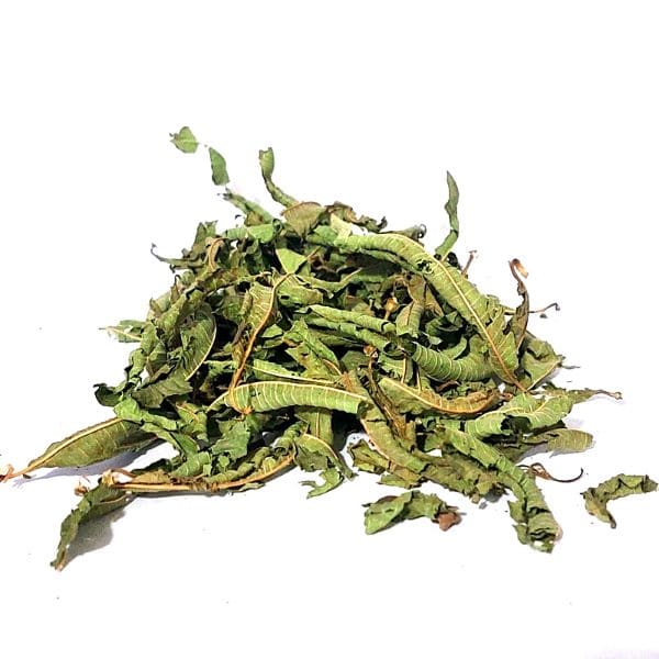 לואיזה אורגני – עלים שלמים Lippia citriodora