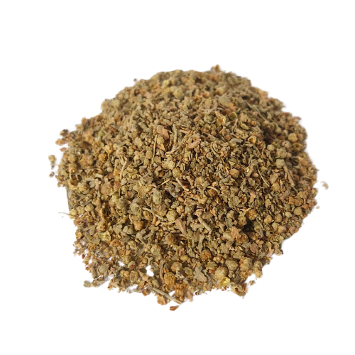 לענת יהודה אורגני גבעול גרוס Artemisia judaica L.