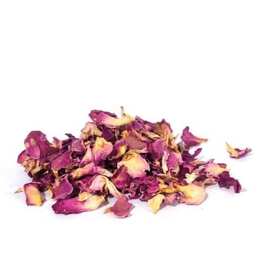 ורדים אורגני עלי כותרת פרח מפורד Rosa rugosa