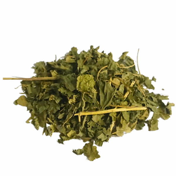ספיראה אורגני בעיקר עלים גרוס Filipendula ulmaria