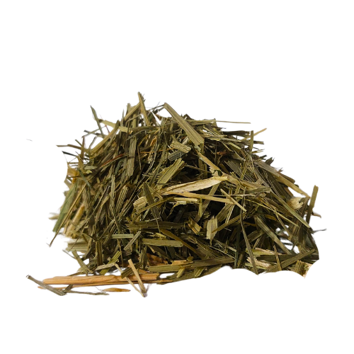 שבולת שועל תרבותית אורגני עלים קצוץ/גרוס Avena sativa