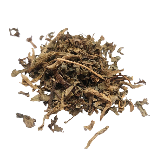 רגלת הגינה אורגני צמח גרוס Portulaca oleracea