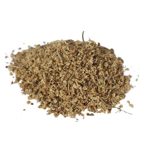 סמבוק שחור אורגני פרחים מנופה Sambucus nigra