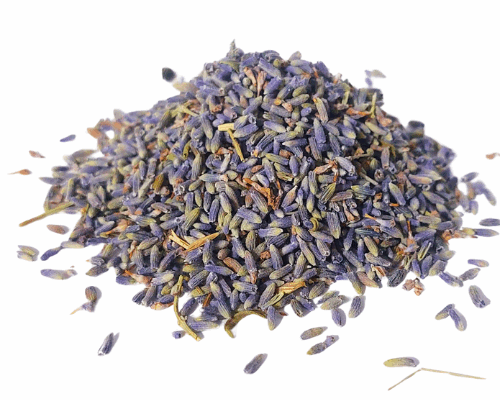אזוביון לבנדר אורגני יבוא פרחים שלם lavandula hyb.