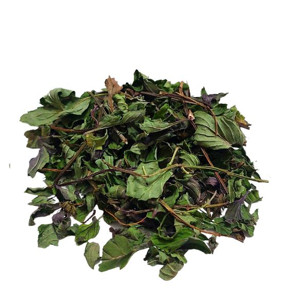 מנטה חריפה אורגני יבוא עלים גרוס Mentha piperita