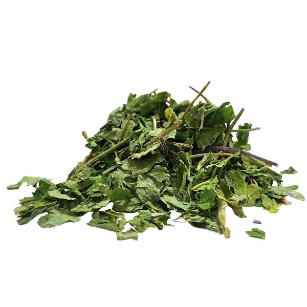 סנטלה גוטו קולה עלים גרוס Centella asiatica