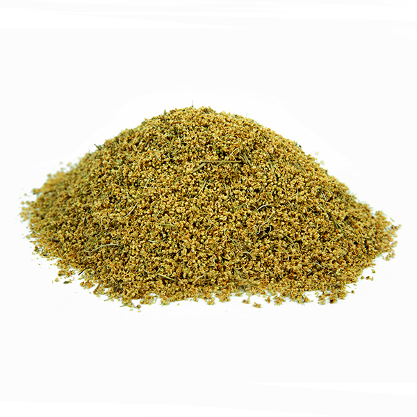 סמבוק שחור אורגני יבוא פרחים שלם Sambucus nigra