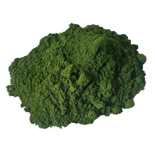 כלורלה אורגני אבקה Chlorella vulgaris
