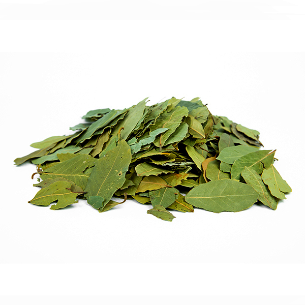 ער אציל (עלי דפנה) אורגני עלים שלם Laurus nobilis