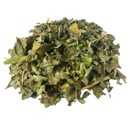 גדילן אורגני עלים שבור Silybum marianum