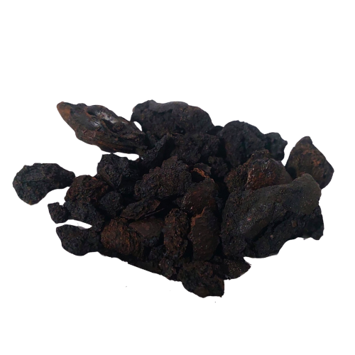 אגוז שחור קליפת פרי קצוץ Juglans nigra