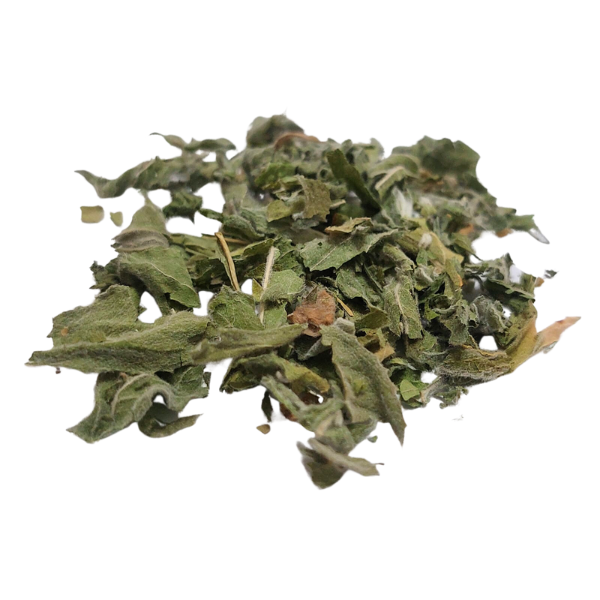 ערברבה שעירה ללא ח.הדברה צמח גרוס Epilobium hirsutum
