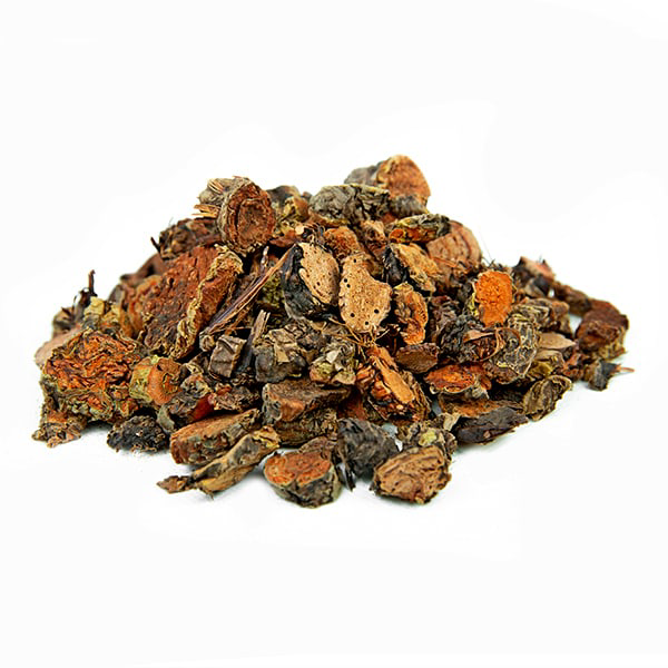 רודיולה שורש חתוך Rhodiola rosea