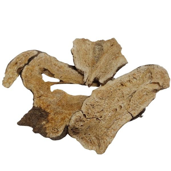 BAI ZHU אטרקטילודיס שורש – תוסף תזונה – Atractylodis macrocephalae
