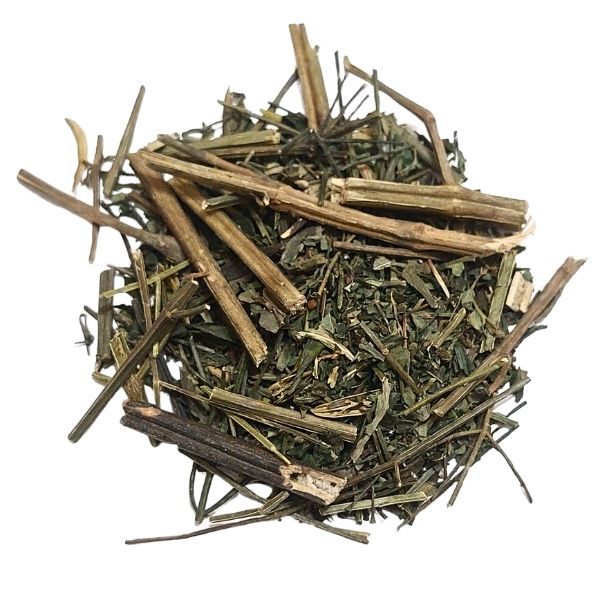 CHUAN XIN LIAN אנדרוגרפיס צמח גרוס – תוסף תזונה – Andrographis paniculata