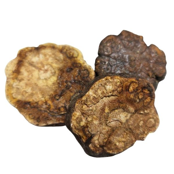 HE SHOU WU HS ארכובית רבת-פרחים שורש – Fallopia/Polygonum multiflorum