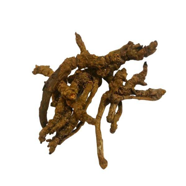 HUANG LIAN HS קופטיס שורש – תוסף תזונה – Coptis chinensis