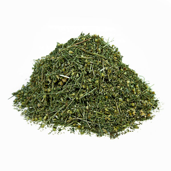 אכילאה צמח קצוץ Achillea millefolium