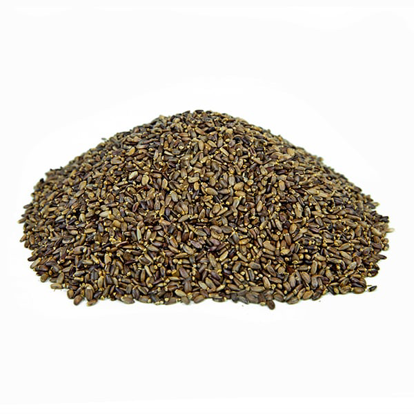 גדילן זרעים שלמים Silybum marianum cardus