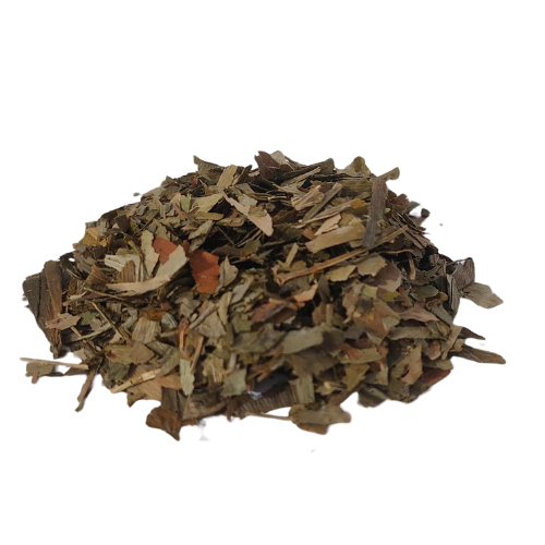 גינקו עלים גרוס Ginkgo biloba
