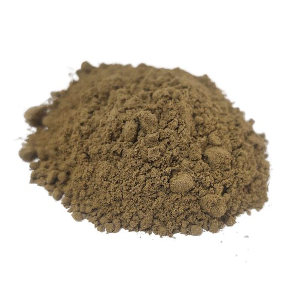 גינקו עלים אבקה Ginkgo biloba