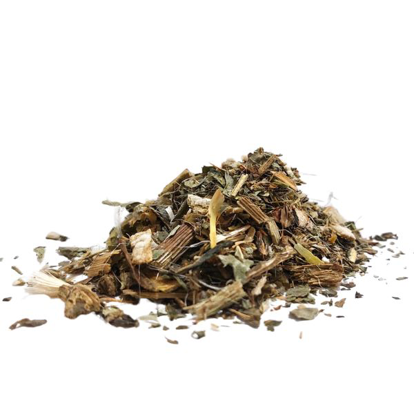 גדילן עלים גרוס Sylibum marianum