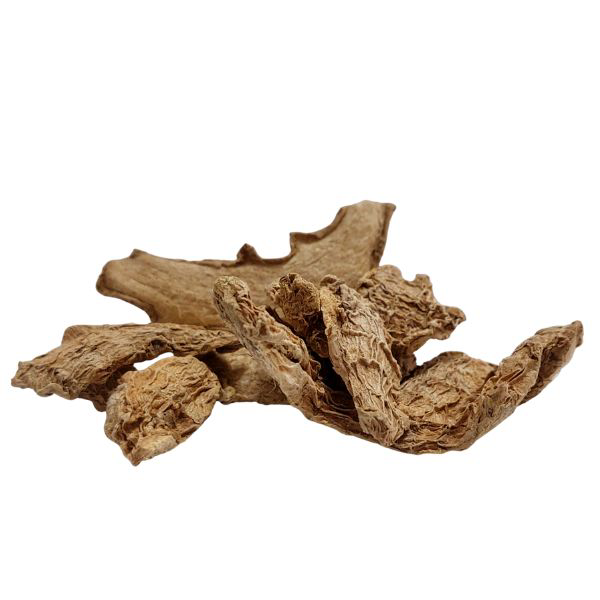 זנגביל פקעות שלם Zingiber officinale
