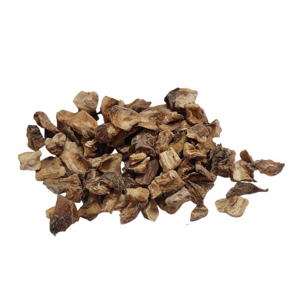 עולש תרבותי שורש גרוס Cichorium intybus