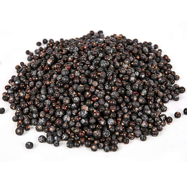 ערער מצוי פרי שלם Juniperus communis