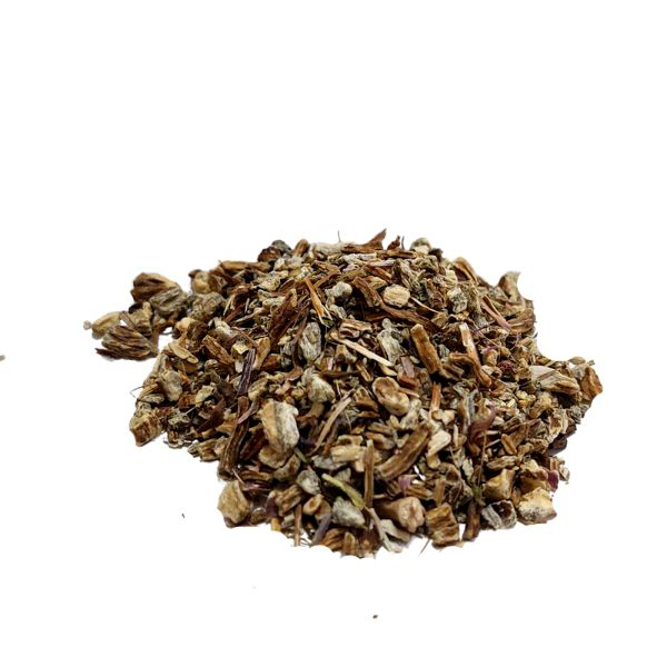 אכיניצאה קיפודנית צרת עלים שורש קצוץ/גרוס Echinacea angustifolia