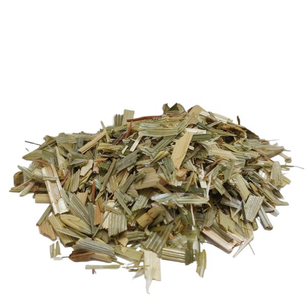 שבולת שיבולת שועל תרבותית עלים + פרחים גרוס Avena sativa